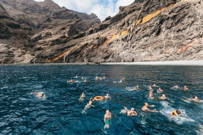 adeje-whale-and-dolphin-watching-cruise-with-lunch-and-swim