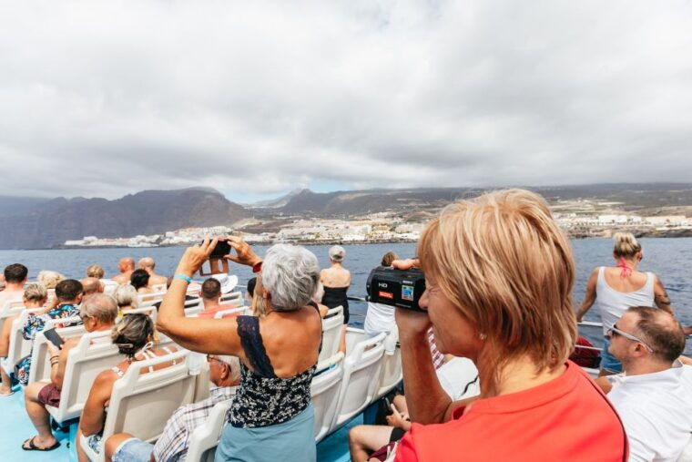adeje-whale-and-dolphin-watching-cruise-with-lunch-and-swim