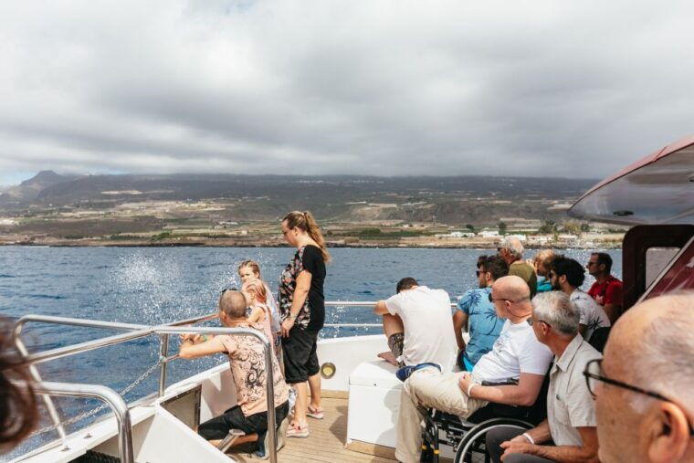 adeje-whale-and-dolphin-watching-cruise-with-lunch-and-swim