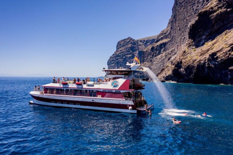 adeje-whale-and-dolphin-watching-cruise-with-lunch-and-swim