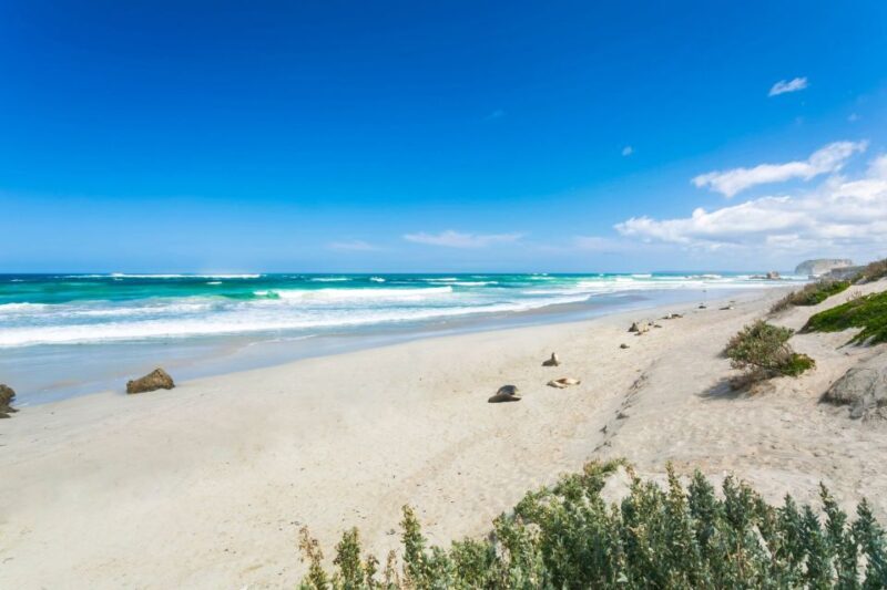 Adelaide: 3-Day Kangaroo Island Adventure Tour with Camping - FAQ