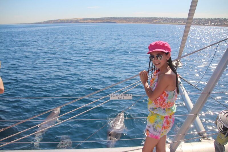 Adelaide: 4-Hour Guaranteed Wild Dolphin Watching Cruise - What to Expect on the Dolphin Watching Cruise