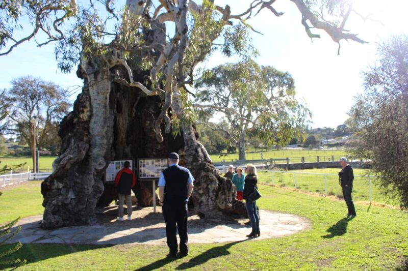 Adelaide: Barossa and Adelaide Hills Tour with Lunch - Practical Tips for Travelers