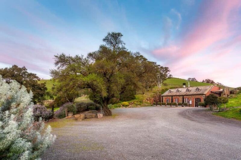 Adelaide: Barossa Private Wine Tour + Your Chosen Tastings - Why This Private Wine Tour Works