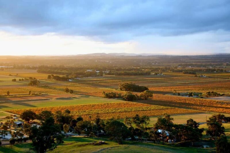 Adelaide: Barossa Private Wine Tour + Your Chosen Tastings - Who Should Consider This Tour?