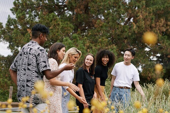 Adelaide City and First Nations Cultural Tour - Practical Details and Tips