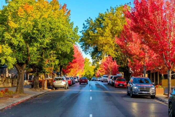 Adelaide City Highlights- Hahndorf and Mt. Lofty Half-Day Tour - Who This Tour Is Best For