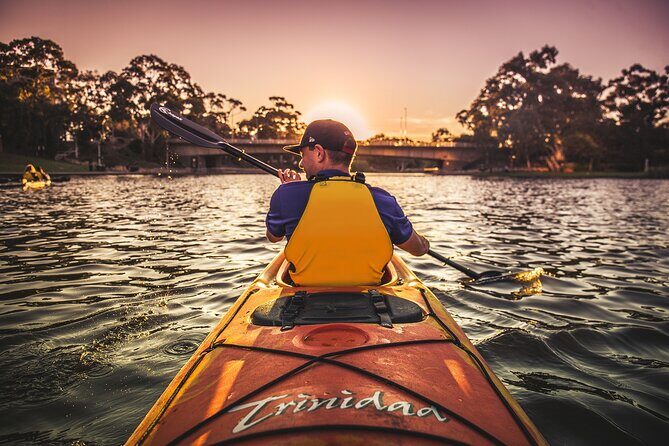 Adelaide City Kayak Tour - The Sum Up: Is It Worth It?
