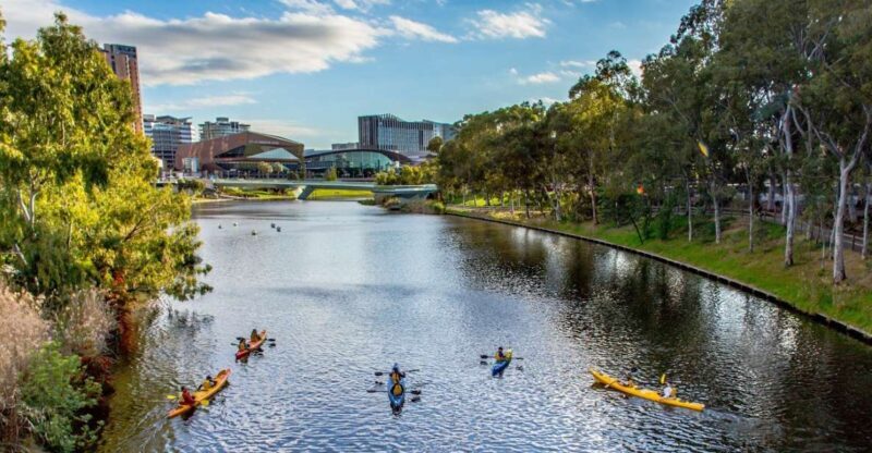 Adelaide: City Kayaking Experience - Discovering Adelaide from the Water