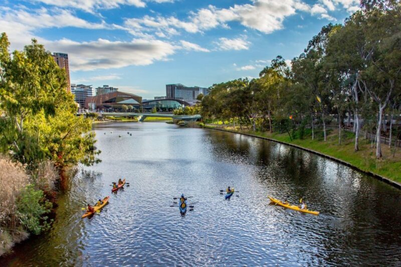 Adelaide: City Kayaking Experience - Why This Tour Offers Good Value