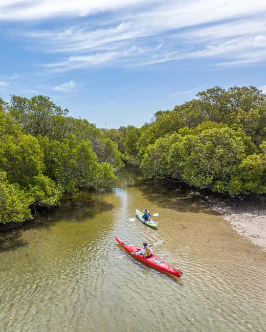 Adelaide: City to Sea, Bike and Kayak Safari - Practical Tips for Travelers