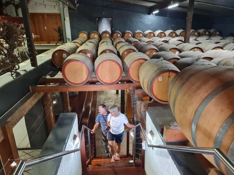 Adelaide Cruise Ship: Koalas & Penfolds & Heritage Day Tour - Why Choose This Tour?