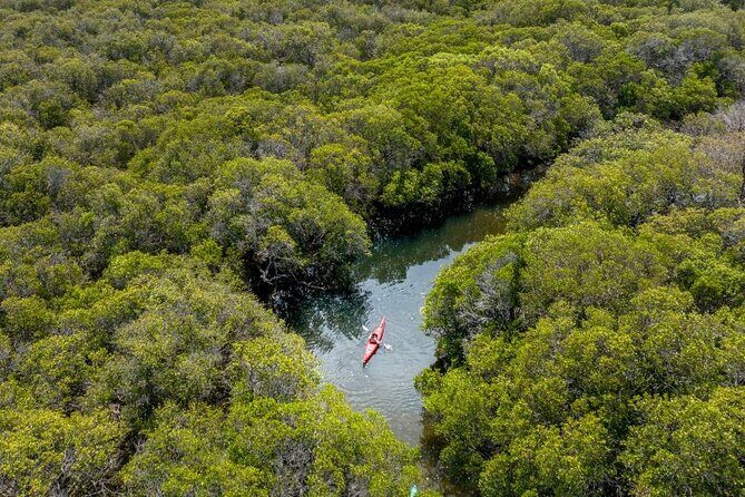 Adelaide Dolphin Sanctuary and Ships Graveyard Kayak Tour - FAQs