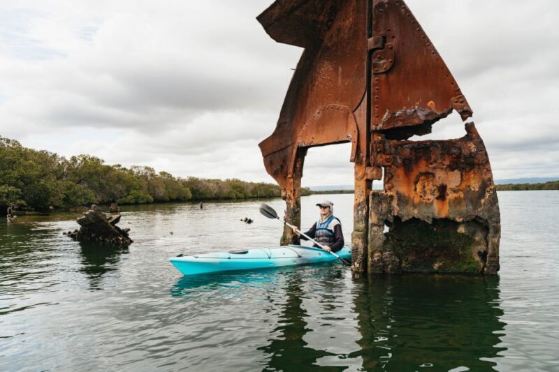 Adelaide: Dolphin Sanctuary Eco Kayaking Tour - The Experience Breakdown: What to Expect