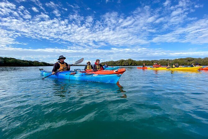Adelaide Dolphin Sanctuary Mangroves Kayaking Tour - What is the Adelaide Dolphin Sanctuary Mangroves Kayaking Tour?