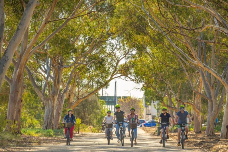 Adelaide: Electric Bike City Tour or Hire Only - The Experience in Detail