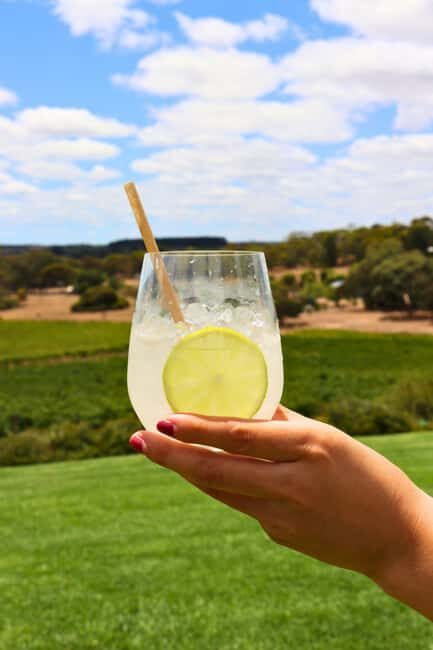 Adelaide: Fleurieu Rock Climb & Gin Tasting - An In-Depth Look at the Experience