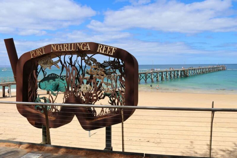Adelaide: Fleurieu Snorkel & Beer Safari - Key Points