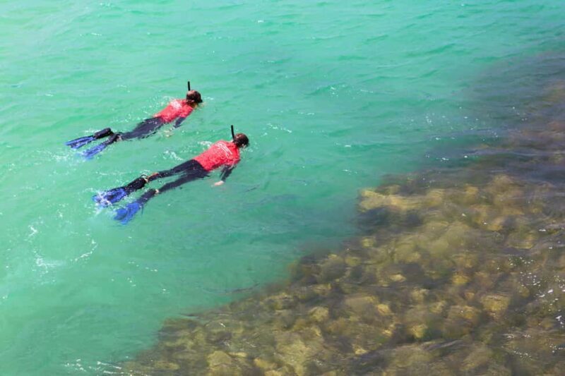 Adelaide: Fleurieu Snorkel & Beer Safari - Overview of the Experience