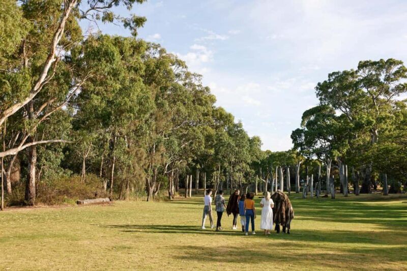 Adelaide: Guided Warriparinga Cultural and Historical Tour - Final Thoughts