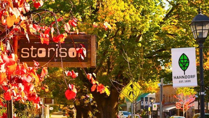 Adelaide: Half-Day Highlights City, Mount Lofty & Hahndorf - What Could Be Improved?