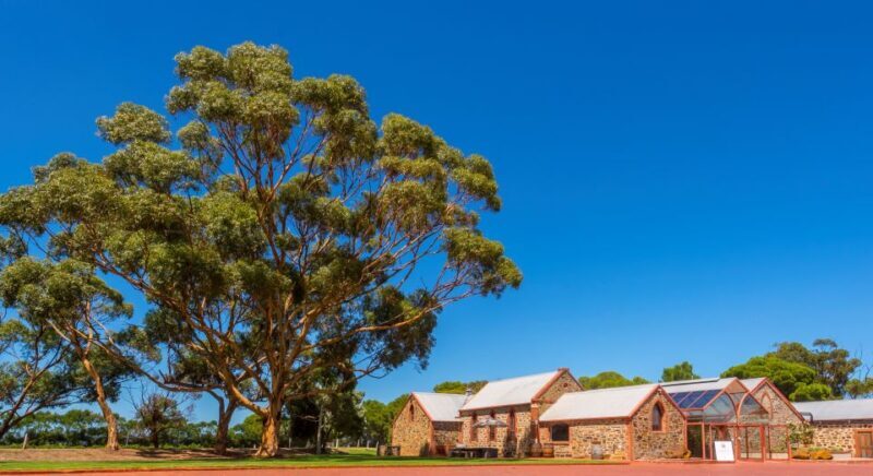 Adelaide: Half-day McLaren Vale & Glenelg Wine Tasting Tour - The Experience in Detail