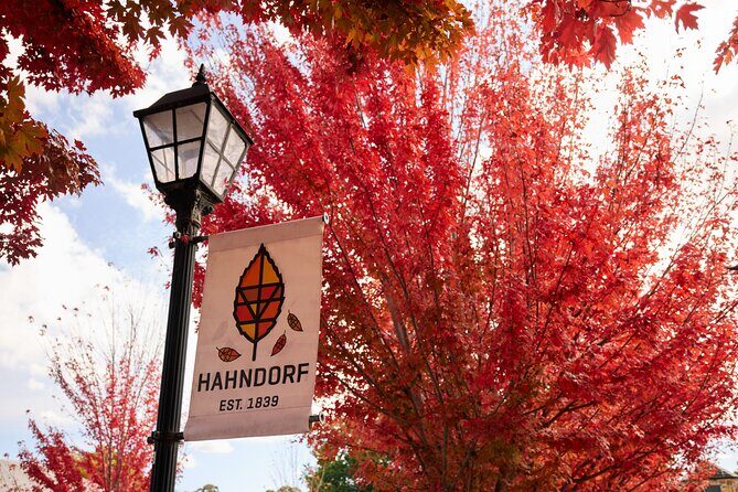 Adelaide Highlights, Hahndorf & McLaren Vale Wine Tasting and Sightseeing Tour - Final Words
