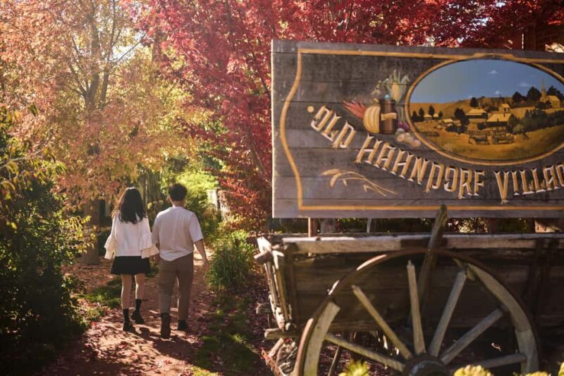 Adelaide: Highlights, Hahndorf & McLaren Vale Wine Tasting - Authentic Insights from Reviewers