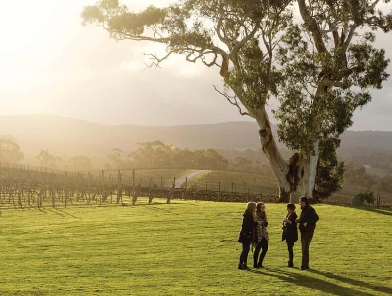 Adelaide Hills and Hahndorf Hop-On-Hop-Off Tour - Why It Works: The Value and Practicalities
