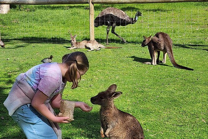 Adelaide Hills Cleland Wildlife Park and Hahndorf Minibus Tour - How Travelers Perceive the Experience