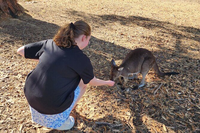 Adelaide Hills Cleland Wildlife Park and Hahndorf Minibus Tour - Who Would Enjoy This?