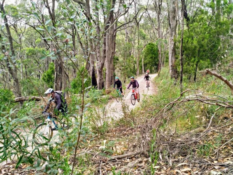 Adelaide Hills: E-Bike Self-Guided Tour with Coffee and Cake - What the Reviews Say