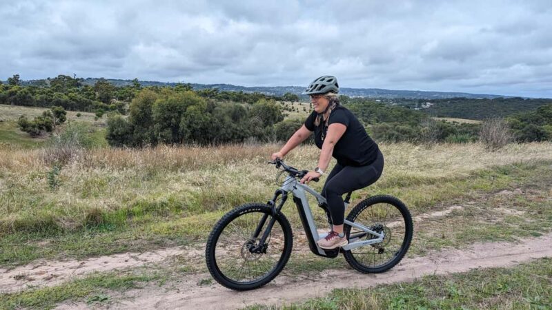 Adelaide Hills: E-Bike Self-Guided Tour with Coffee and Cake - Cost and Value