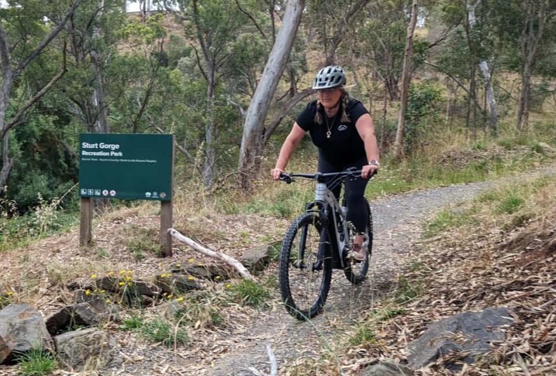 Adelaide Hills: E-Bike Self-Guided Tour with Coffee and Cake - Who Should Try This?