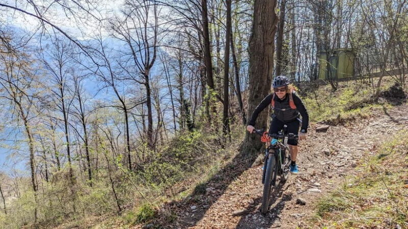Adelaide Hills: E-Bike Self-Guided Tour with Coffee and Cake - The Sum Up
