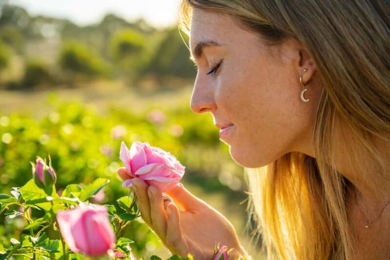 Adelaide Hills: Jurlique Farm Tour - Key Points