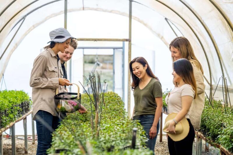 Adelaide Hills: Jurlique Farm Tour - What is the Jurlique Farm Tour?