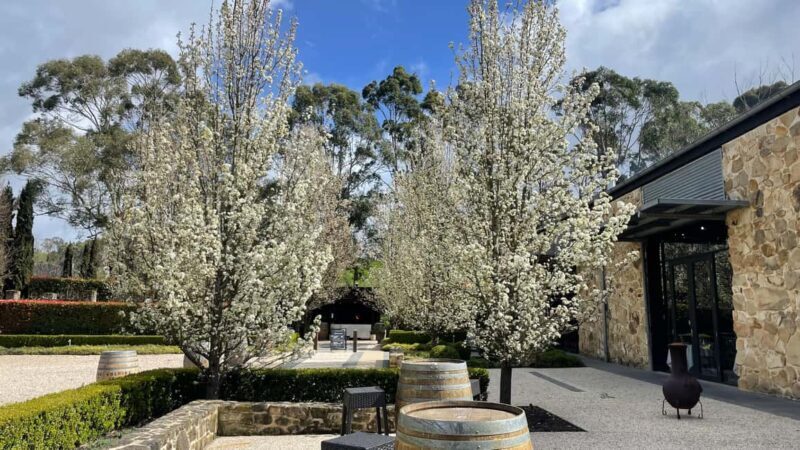 Adelaide Hills Tour - Key Points  
