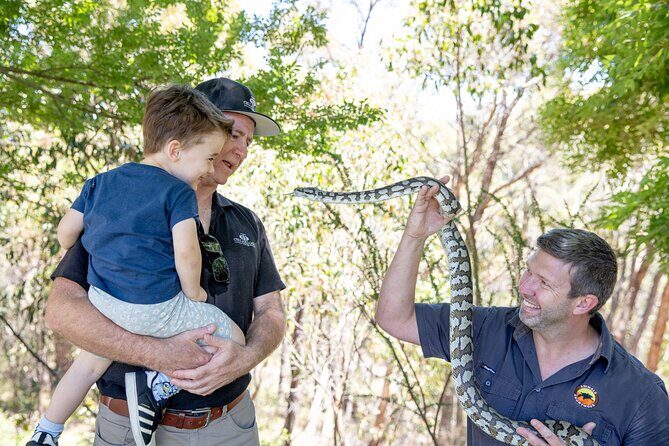 Adelaide Hills Wine & Wildlife Private Tour, inc Hahndorf & lunch - An In-Depth Look at the Adelaide Hills Wine & Wildlife Private Tour