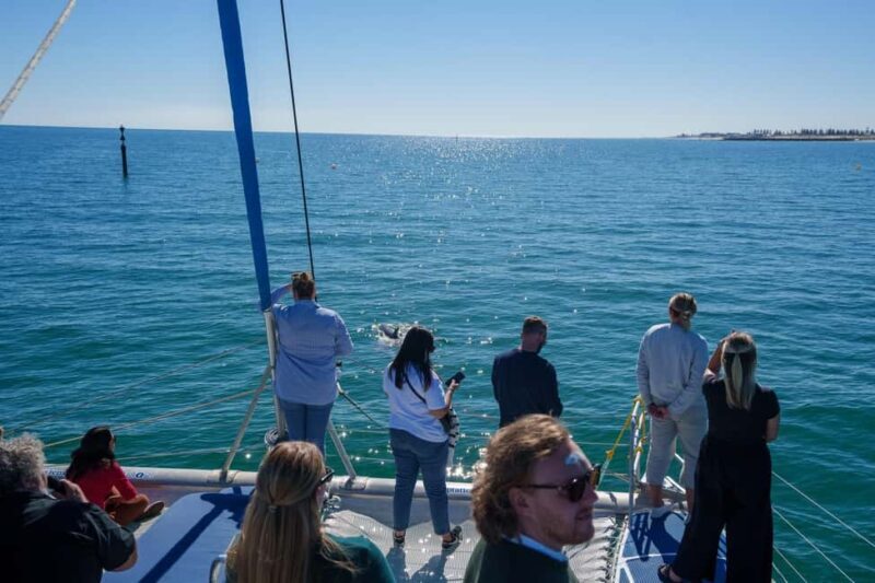 Adelaide: Kauwi Cultural Cruise - Key Points