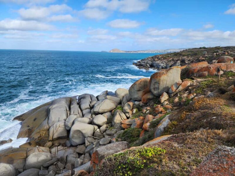 Adelaide: McLaren Vale, Port Elliot & Victor Harbor Tour - Introduction: A Scenic Day Trip through South Australia