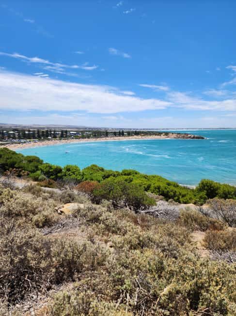 Adelaide: McLaren Vale, Port Elliot & Victor Harbor Tour - Authentic Experiences & Review Highlights