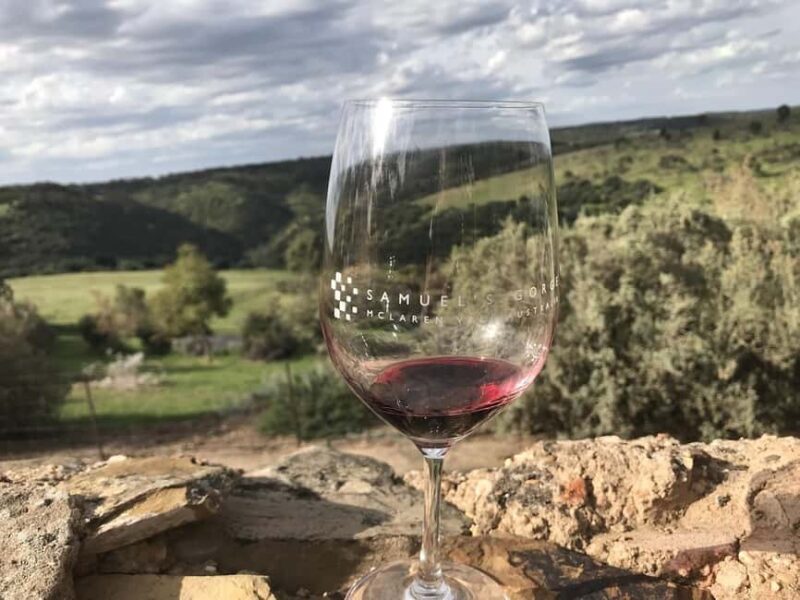 Adelaide: McLaren Vale Private WineTour+Your Chosen Tastings - Who Will Love This Tour?