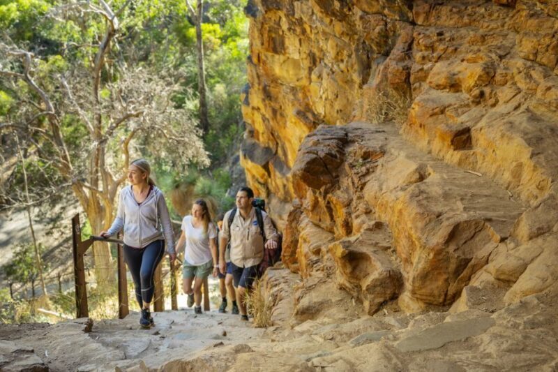 Adelaide: Morialta Wilderness and Wildlife Hike - Introduction