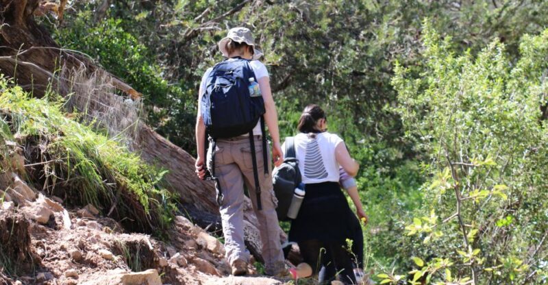 Adelaide: Morialta Wilderness and Wildlife Hike - Who Will Love This Tour?