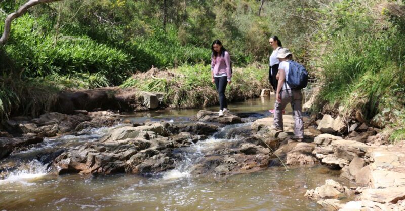 Adelaide: Morialta Wilderness and Wildlife Hike - The Sum Up