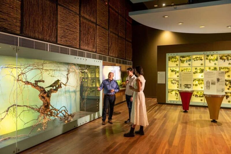 Adelaide: National Wine Centre Wine Discovery Journey - The Physical Experience and Logistics
