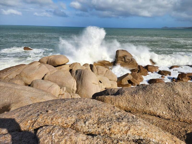 Adelaide: Premium Victor Harbor, Port Elliot and d'Arenberg - The Sum Up: Who Is This Tour Best For?