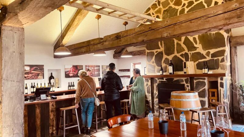 Adelaide: Private Boutique Wine Tasting & Sightseeing Tour - An In-Depth Look at the Experience