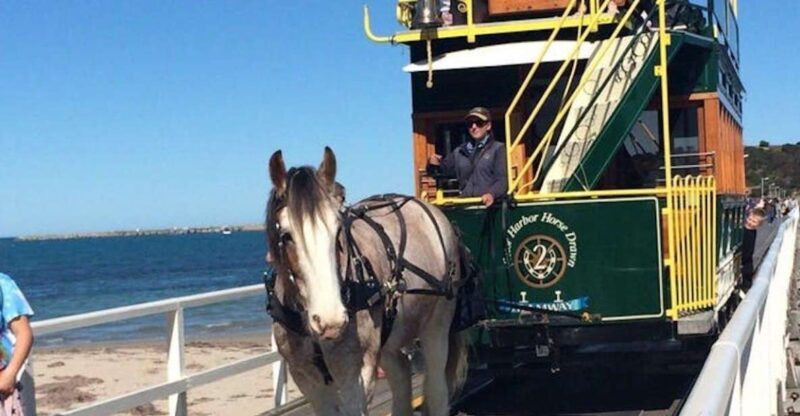 Adelaide: South Australia Guided Full-Day Highlights Tour - Exploring the Full-Day Experience in South Australia